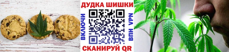 как найти закладки  Орехово-Зуево  Cannafood конопля 
